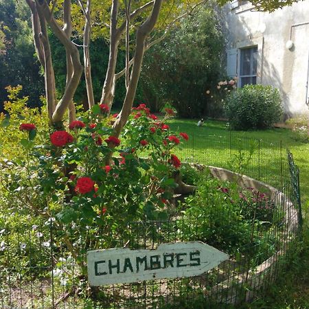 Le Mas D'Icard Saintes-Maries-de-La-Mer Exterior foto