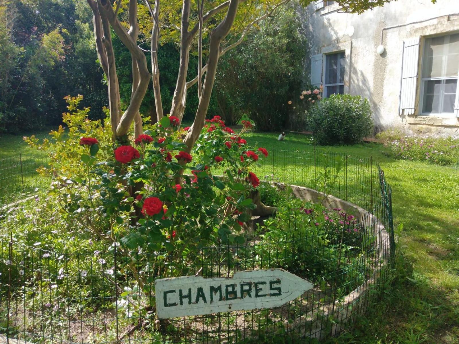 Le Mas D'Icard Saintes-Maries-de-La-Mer Exterior foto